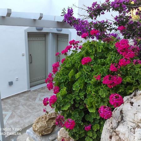 Villa Delfinaki Lionas ภายนอก รูปภาพ