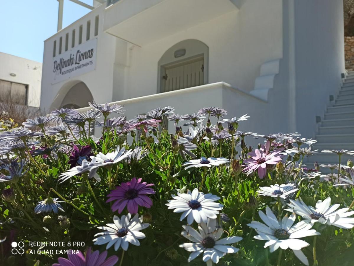 Villa Delfinaki Lionas ภายนอก รูปภาพ