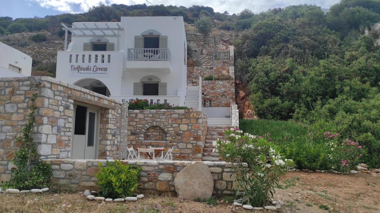 Villa Delfinaki Lionas ภายนอก รูปภาพ