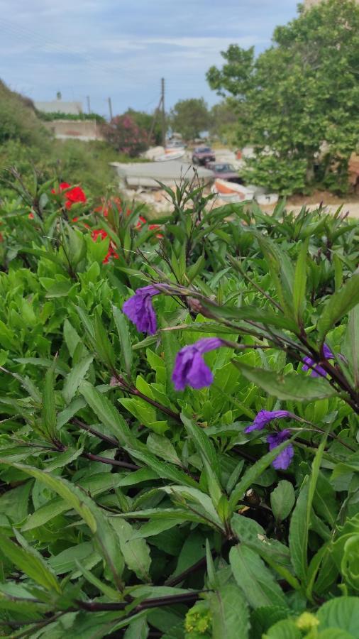 Villa Delfinaki Lionas ภายนอก รูปภาพ