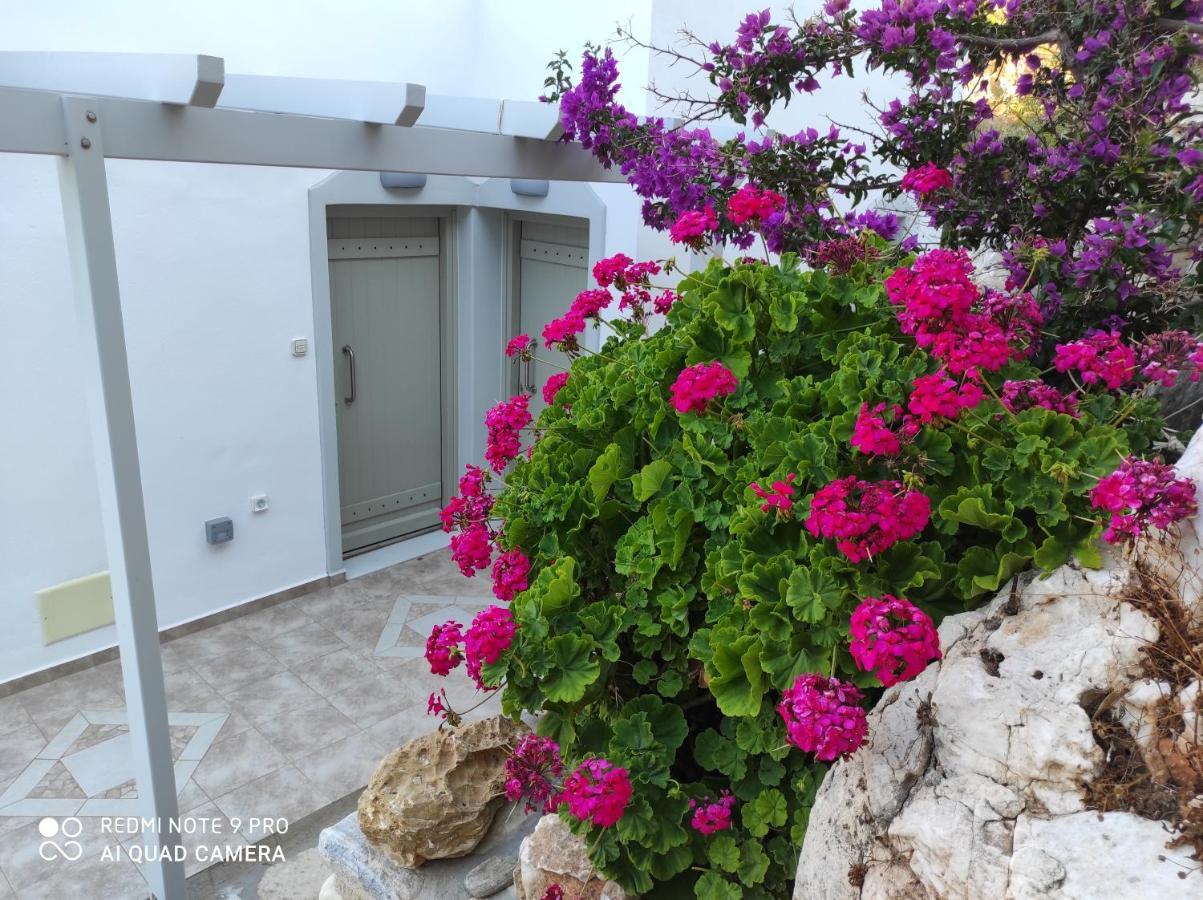 Villa Delfinaki Lionas ภายนอก รูปภาพ